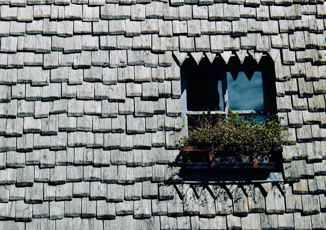 A detailed close-up shot of worn asphalt roof shingles, showing granule loss and subtle cracks that illustrate cumulative weather damage over time.